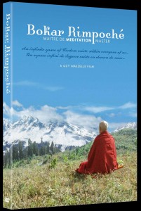 Bokar Rinpoche Meditation Master